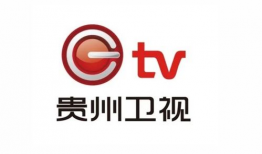 卫视频道,精彩内容与独家视角的汇聚之地